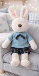 Peluche/Doudou Lapin Aymen + Livre "J’apprends ma religion avec la famille Arnoube" Peluche/Doudou Lapin Aymen + Livre "J’apprends ma religion avec la famille Arnoube"