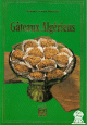 Gâteaux Algériens